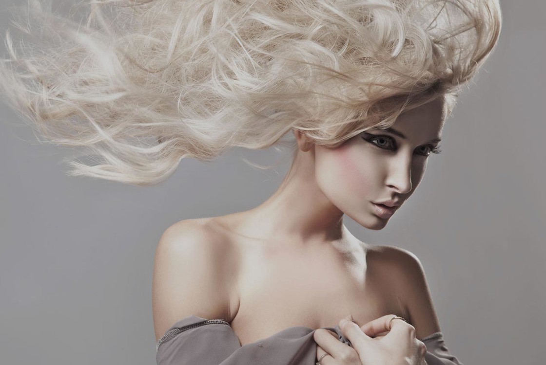 Hendrerit Nisl Auctor