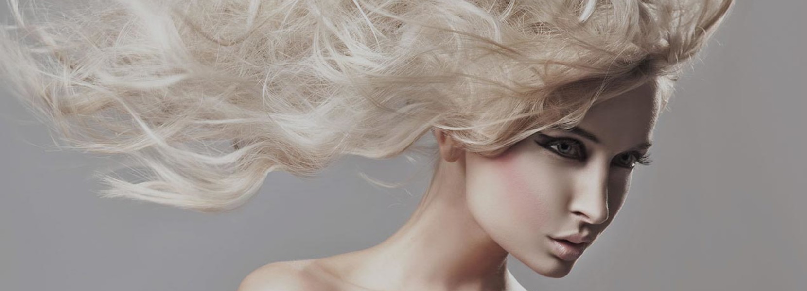 Hendrerit Nisl Auctor