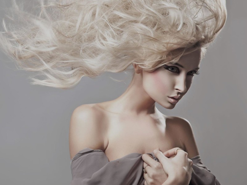 Hendrerit Nisl Auctor