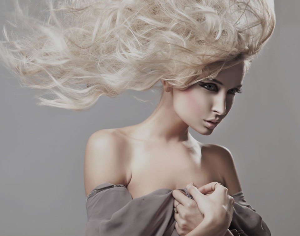 Hendrerit Nisl Auctor